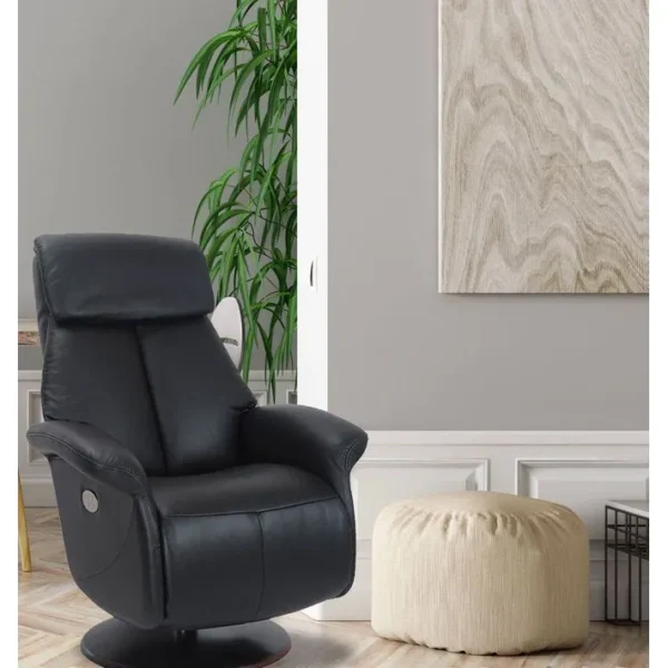 Fauteuil De Relaxation Électrique 2 Moteurs - Aetos - Cuir Noir