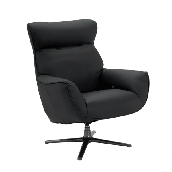 Fauteuil De Relaxation Design En Cuir Noir