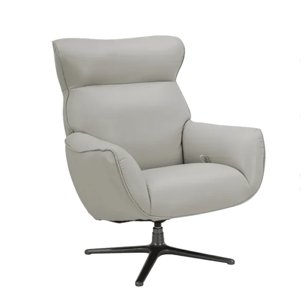 Fauteuil De Relaxation Design En Cuir Gris