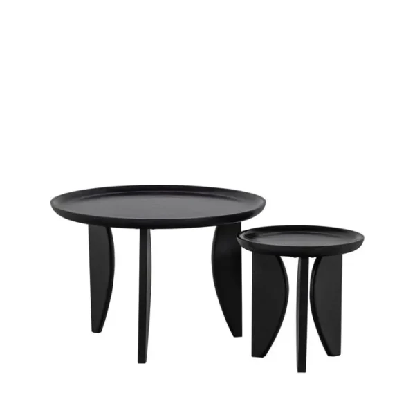 2 Tables Basses En Bois De Manguier Ø40/ø70cm