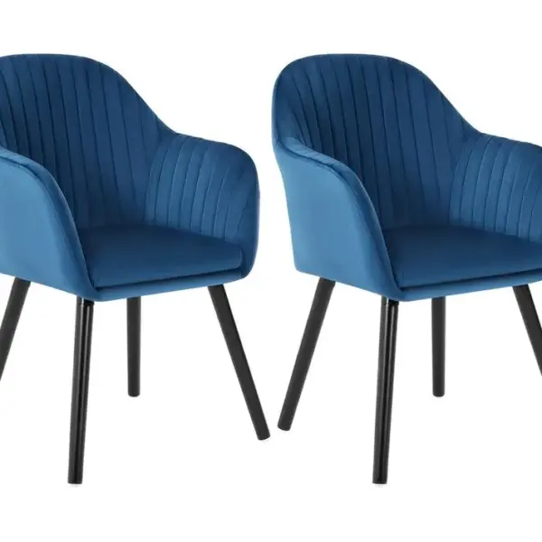 2x Chaises De Salle À Manger Bleu