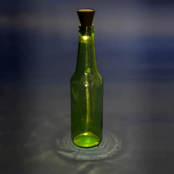 Bottle Light Solaire Noir