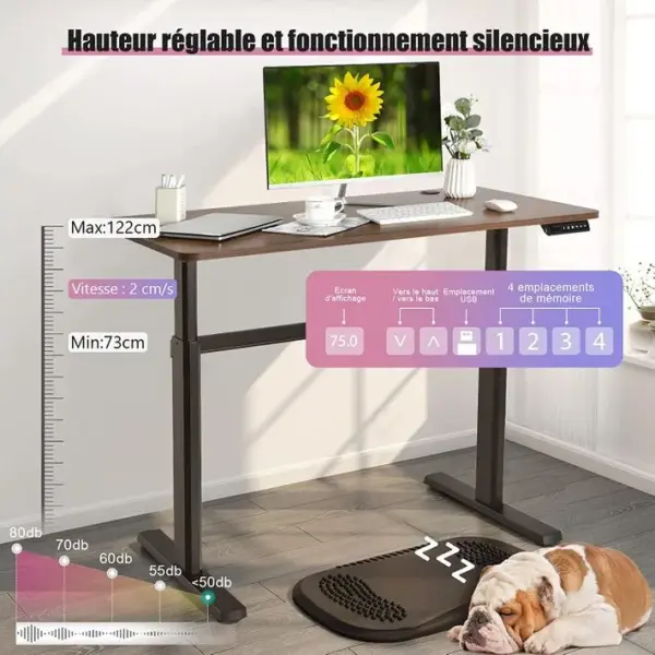 Bureau Assis-debout Électrique 120x60x(73-122) Cm Hauteur Réglable, Charge Max 80kg Bruit : ?50 dB