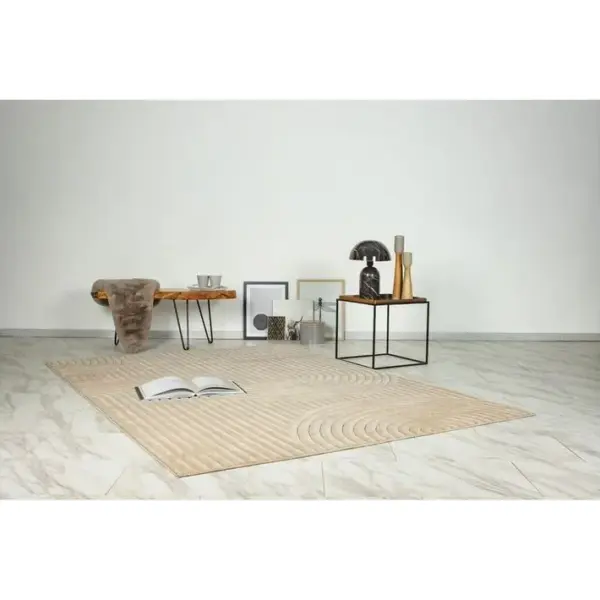 Tapis 3d Extérieur Et Intérieur Moderne Graphique Garret Beige 80x150